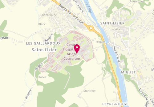 Plan de DENIS Camille, Quartier Roses, 09190 Saint-Lizier
