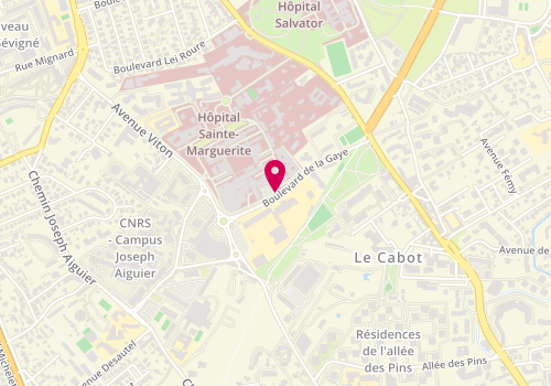 Plan de LEPESANT Vincent, 42 Boulevard de la Gaye, 13009 Marseille