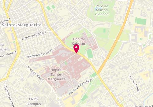 Plan de CHEVROT Agathe, 270 Boulevard de Sainte Marguerite, 13009 Marseille