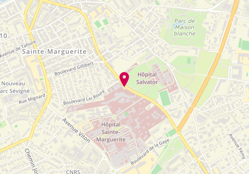 Plan de MONTEGUT Coline, 232 Boulevard de Sainte Marguerite, 13009 Marseille