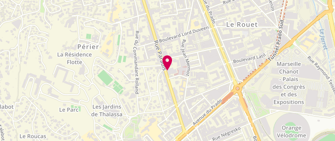 Plan de DORNADIN Amélie, 433 Rue Paradis, 13008 Marseille