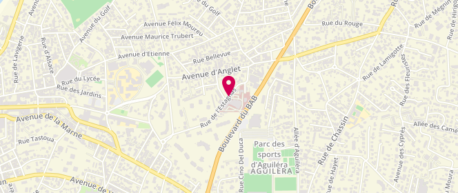 Plan de COTTE Vincent, 21 Rue de l'Estagnas, 64200 Biarritz