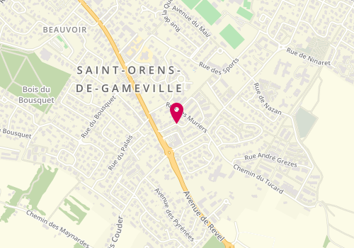 Plan de BOURGEOIS-ADRAGNA Odile, 6 Rue de Soye, 31650 Saint-Orens-de-Gameville