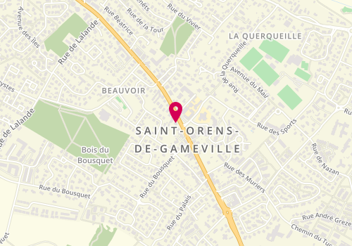 Plan de CAZORLA François, Avenue de Gameville, 31650 Saint-Orens-de-Gameville