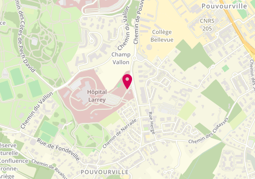 Plan de VIATGE Thibault, 24 Chemin de Pouvourville, 31059 Toulouse