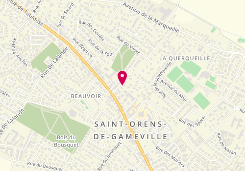 Plan de RICQ Géraldine, 8 Bis Place de la Poste, 31650 Saint-Orens-de-Gameville