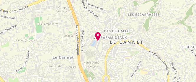Plan de RAINA Claire, 15 Rue des Moulieres D1, 06110 Le Cannet