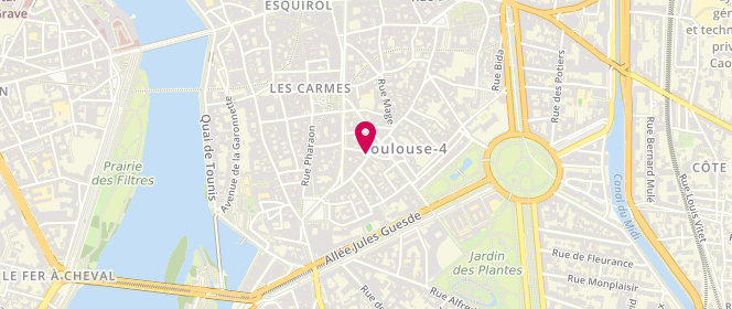 Plan de DELPECH Thérèse, 23 Grande Rue Nazareth, 31000 Toulouse