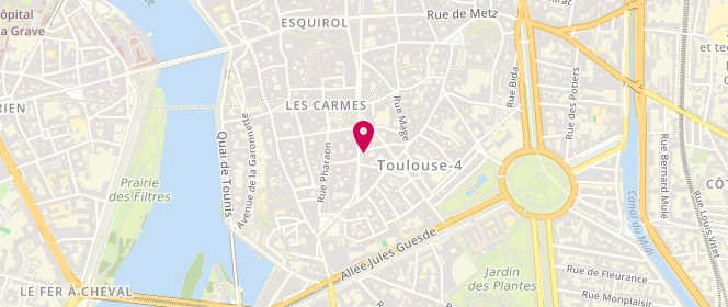 Plan de VIDAUD Sylvaine, 30 Rue du Languedoc, 31000 Toulouse