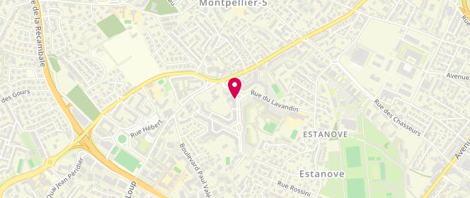 Plan de BRIANE-FRAYSSE Muriel, 28 Rue Jacques Tati, 34070 Montpellier