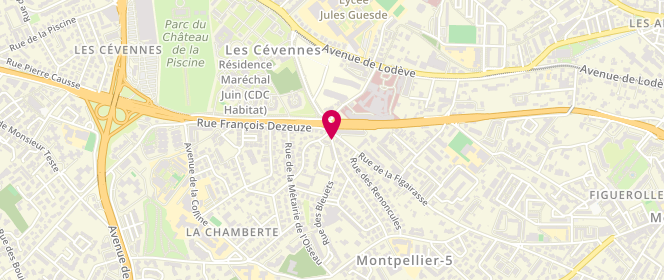Plan de PUEL Cécile, 1 Rue des Jonquilles, 34070 Montpellier