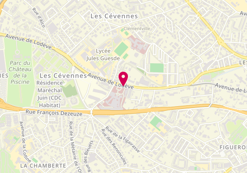 Plan de REYNAUD Paul, 119 Avenue de Lodeve, 34070 Montpellier
