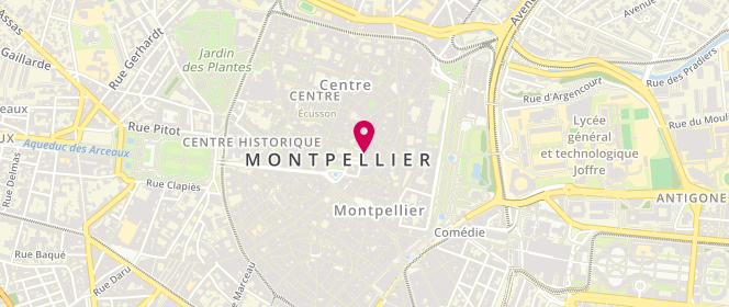 Plan de WOJEWODZKA Hélène, 6 Place du Marche Aux Fleurs, 34000 Montpellier