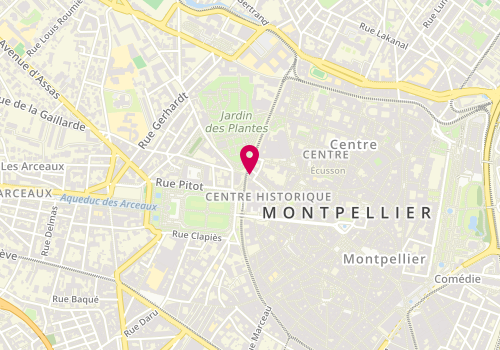 Plan de PIC GOMIS Linda, 1 Boulevard du Professeur Louis Vialleton, 34000 Montpellier