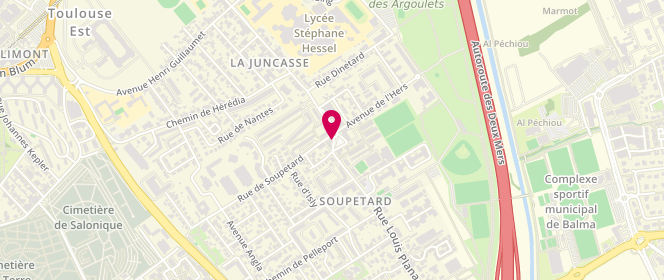 Plan de TRIVIDIC Alfred, 71 Rue Louis Plana, 31500 Toulouse