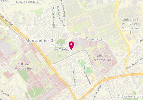 Plan de JOUMAA Saadeddine, 80 Avenue Augustin Fliche, 34295 Montpellier