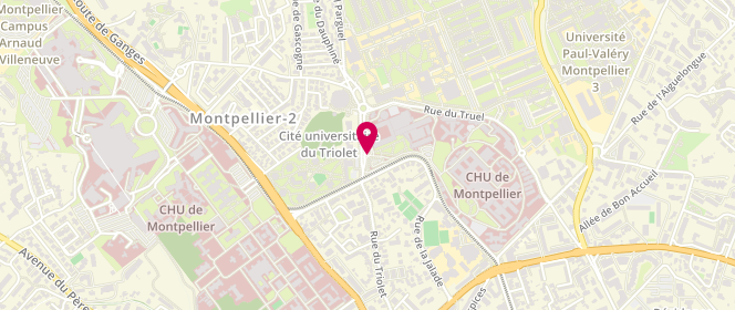 Plan de LAKBAR Inès, 80 Avenue Augustin Fliche, 34295 Montpellier