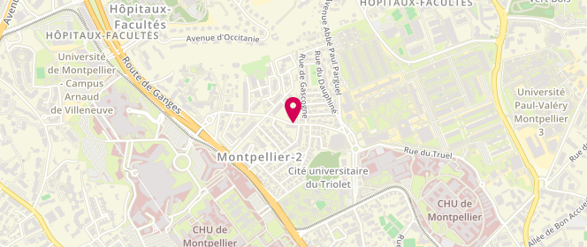 Plan de TRINH-VAN-DAM Jacques, 1209 Rue du Professeur Joseph Anglada, 34090 Montpellier