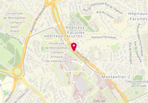 Plan de SCHULTZ Céline, 191 Avenue Doyen Gaston Giraud, 34090 Montpellier