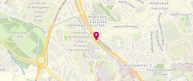 Plan de BENHAMOU-GUENEBAUD Murielle, Avenue du Doyen Gaston Giraud, 34295 Montpellier