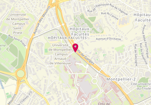 Plan de JERIDI Yasmine, 371 Avenue du Doyen Gaston Giraud, 34295 Montpellier