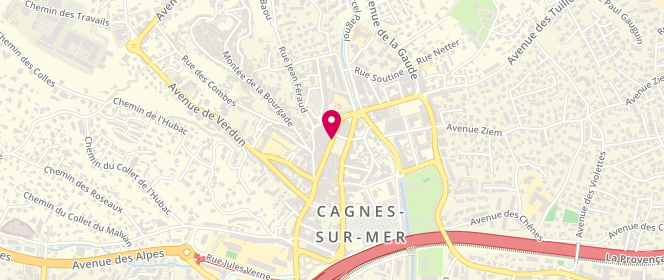 Plan de ETTER Zahera, 17 Avenue Auguste Renoir, 06800 Cagnes-sur-Mer