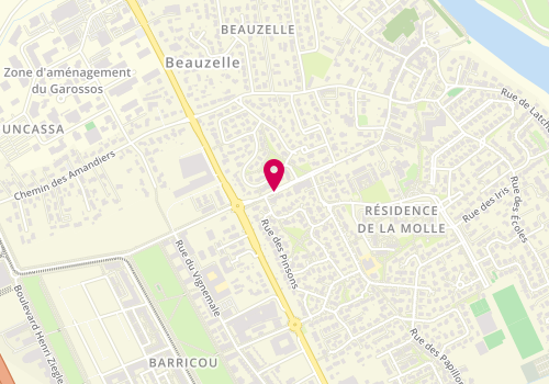 Plan de DUDOGNON Sylvie, 49 Rue de la Republique, 31700 Beauzelle