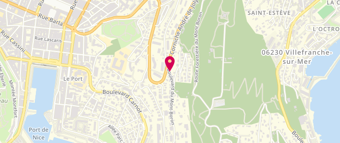 Plan de BENOIST Pascal, 64 Boulevard du Mont Boron, 06300 Nice