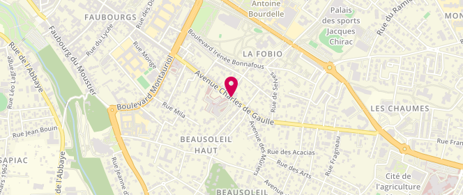 Plan de BOURNAUD LABEYRIE Béatrice, 59 Avenue Charles de Gaulle, 82000 Montauban