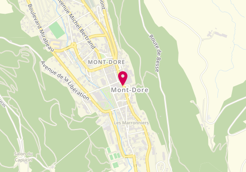 Plan de VIGIER Maria, 4 Rue Rigny, 63240 Mont-Dore