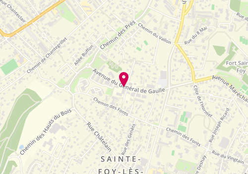 Plan de GOUGEON Florence, 36 Avenue General de Gaulle, 69110 Sainte-Foy-lès-Lyon