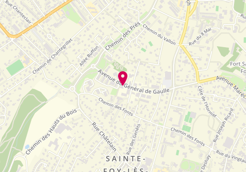 Plan de LEVY Damien, 38 Avenue General de Gaulle, 69110 Sainte-Foy-lès-Lyon