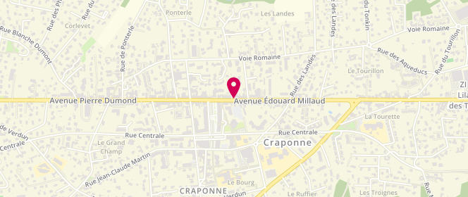 Plan de LABAUNE Dominique, 76 Avenue Edouard Millaud, 69290 Craponne