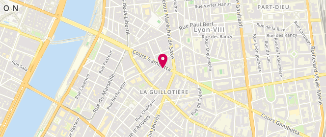 Plan de SALEH Bahige, 44 Cours Gambetta, 69007 Lyon
