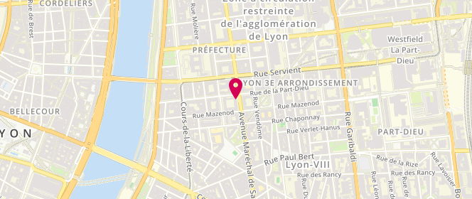 Plan de BERTHIER Michel, 100 Avenue du Marechal de Saxe, 69003 Lyon