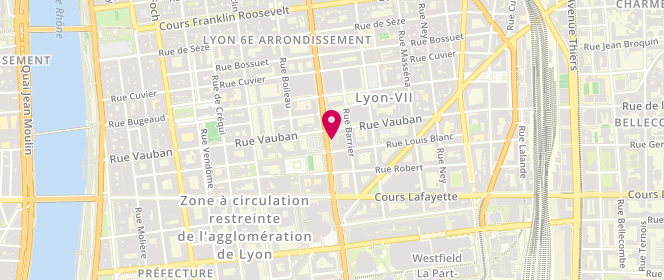 Plan de SIMARD BRESSON Véronique, 107 Rue Garibaldi, 69006 Lyon
