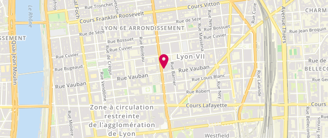 Plan de SOUCHERE Bruno, 101 Rue Garibaldi, 69006 Lyon