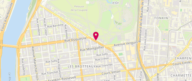 Plan de DISANT François, 55 Boulevard des Belges, 69006 Lyon