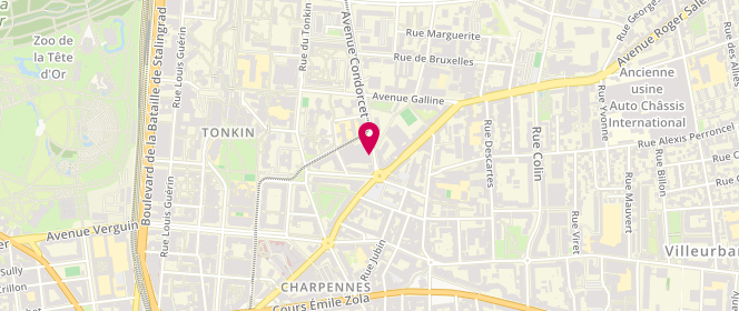 Plan de COQUARD Régis, 46 Avenue Condorcet, 69100 Villeurbanne