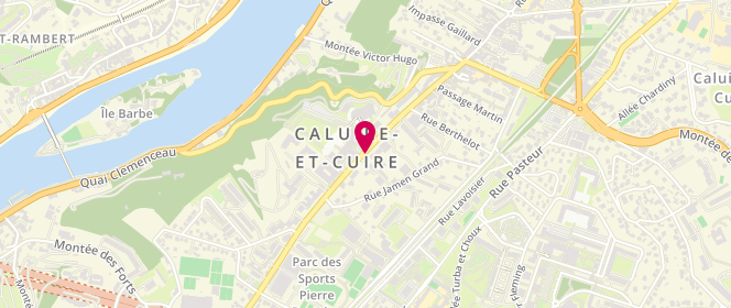 Plan de ROCHE Philippe, 60 Rue François Peissel, 69300 Caluire-et-Cuire