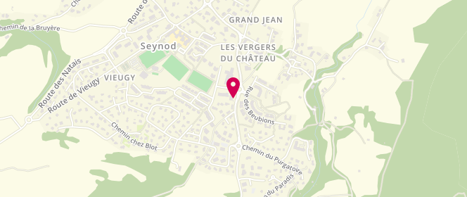 Plan de CAMPIONE Laurent, 1 Rue Aime Mugnier, 74600 Seynod