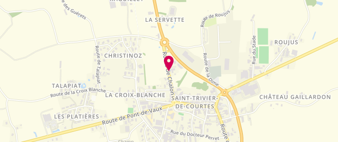 Plan de FAYE-PASTOR Sylvie, 200 Route de Chalon, 01560 Saint-Trivier-de-Courtes