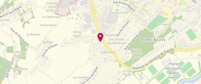 Plan de BLAIS Philippe, 33 Rue Mercier du Rocher, 85200 Fontenay-le-Comte