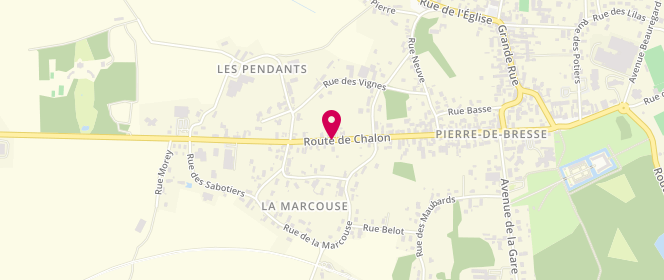 Plan de DARCOT Stéphanie, 61 Route de Chalon, 71270 Pierre-de-Bresse
