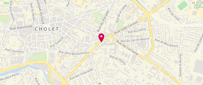 Plan de RENOU Dominique, 18 Rue des Câlins, 49300 Cholet