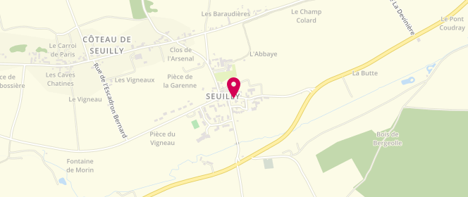 Plan de BLERVAQUE Eric, 2 Route de Chinon, 37500 Seuilly
