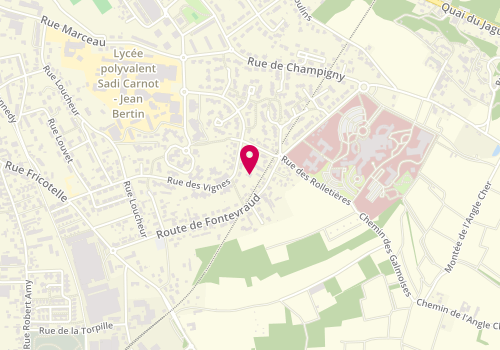 Plan de DELIBES Camille, Route de Fontevraud, 49403 Saumur