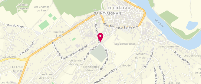 Plan de DELACOTE Patrice, 9 Rue Victor Hugo, 41110 Saint-Aignan