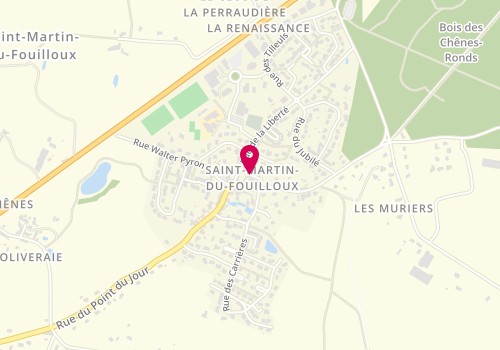 Plan de FALLAI Anne, Square des Marronniers, 49170 Saint-Martin-du-Fouilloux