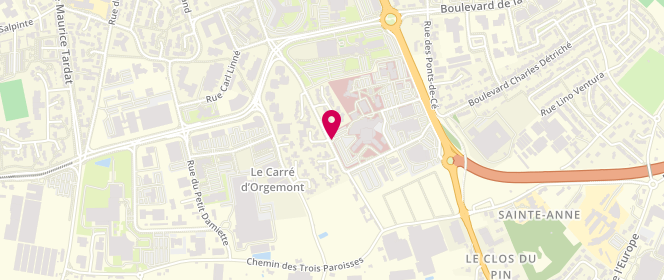 Plan de TOURNANT Flavie, 87 Rue du Chateau d'Orgemont, 49000 Angers